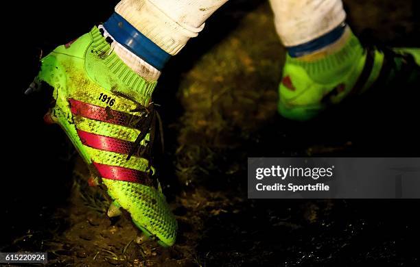 March 2016; A detailed view of the boots of Leinster's Ian Madigan. Guinness PRO12, Round 18, Connacht v Leinster, Sportsground, Galway. Picture...