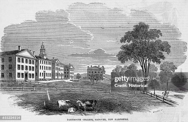 Small group of cows graze near Dartmouth College, Hanover, New Hampshire. The college was founded in 1769.