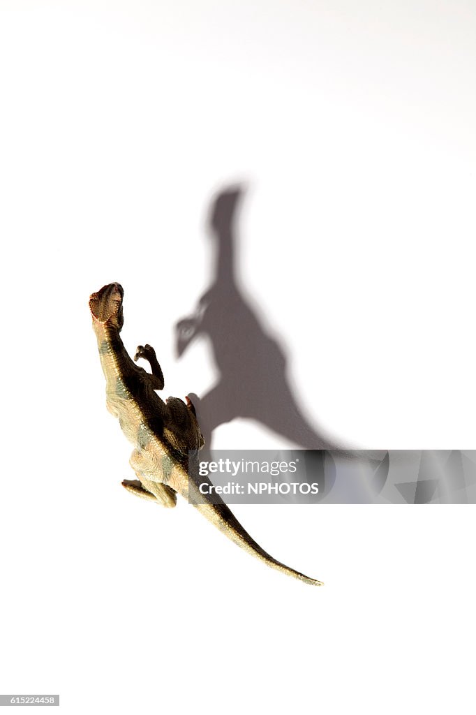Dinosaur shadow