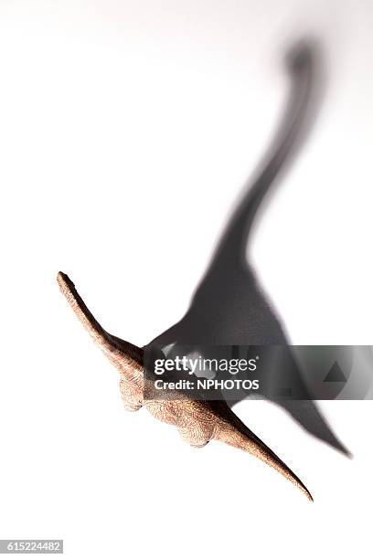 dinosaur shadow - diplodocus stockfoto's en -beelden