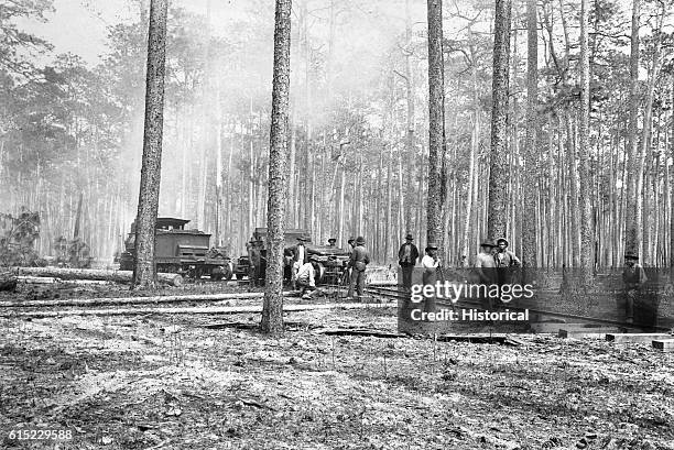 African American railroad workers lay track for a logging railroad through a longleaf pine forest. Hardin County, Texas, USA. | Location: Hardin...