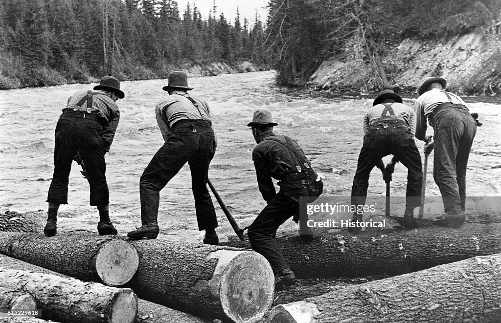 River Log Riding Five log rollers manuever logs on the Priest River on one of the last ...