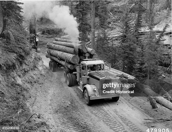 Loaded Logging Truck