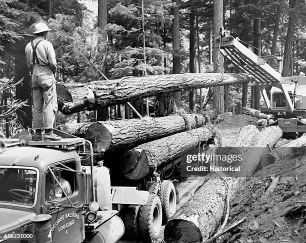 Log loader lowers a log onto a truck. The door of the truck reads "George Balsiger Logging". | Location: Green Mountain Road, Cougar Dam Reservoir,...