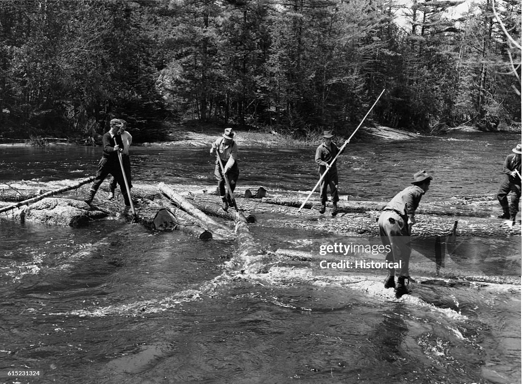 River Log Riding Loggers nicknamed