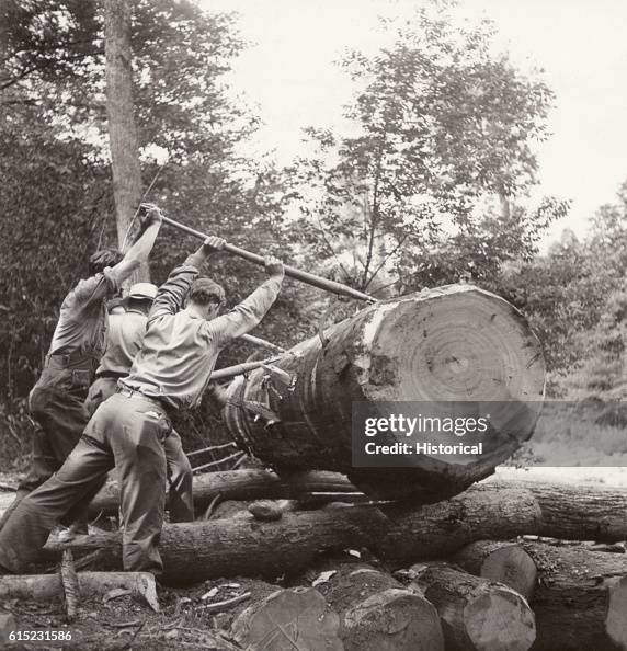 Loggers Rolling Log Into River