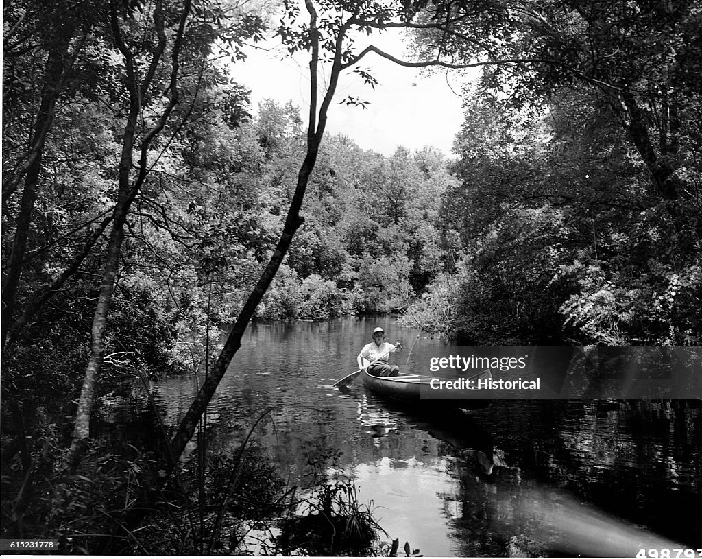Canoeing in Juniper Springs