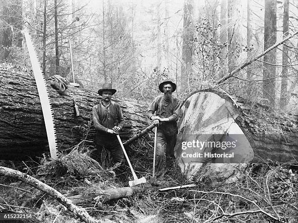 Logging Man 158 Logger Washington Stock Photos, High-Res Pictures, and Images ...