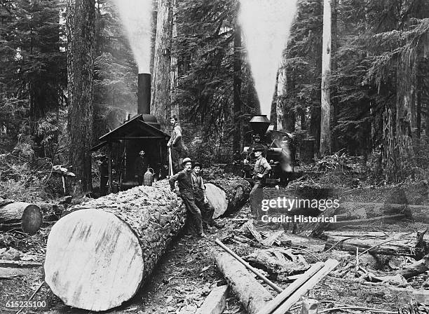 Donkey Engine Photos and Premium High Res Pictures - Getty Images