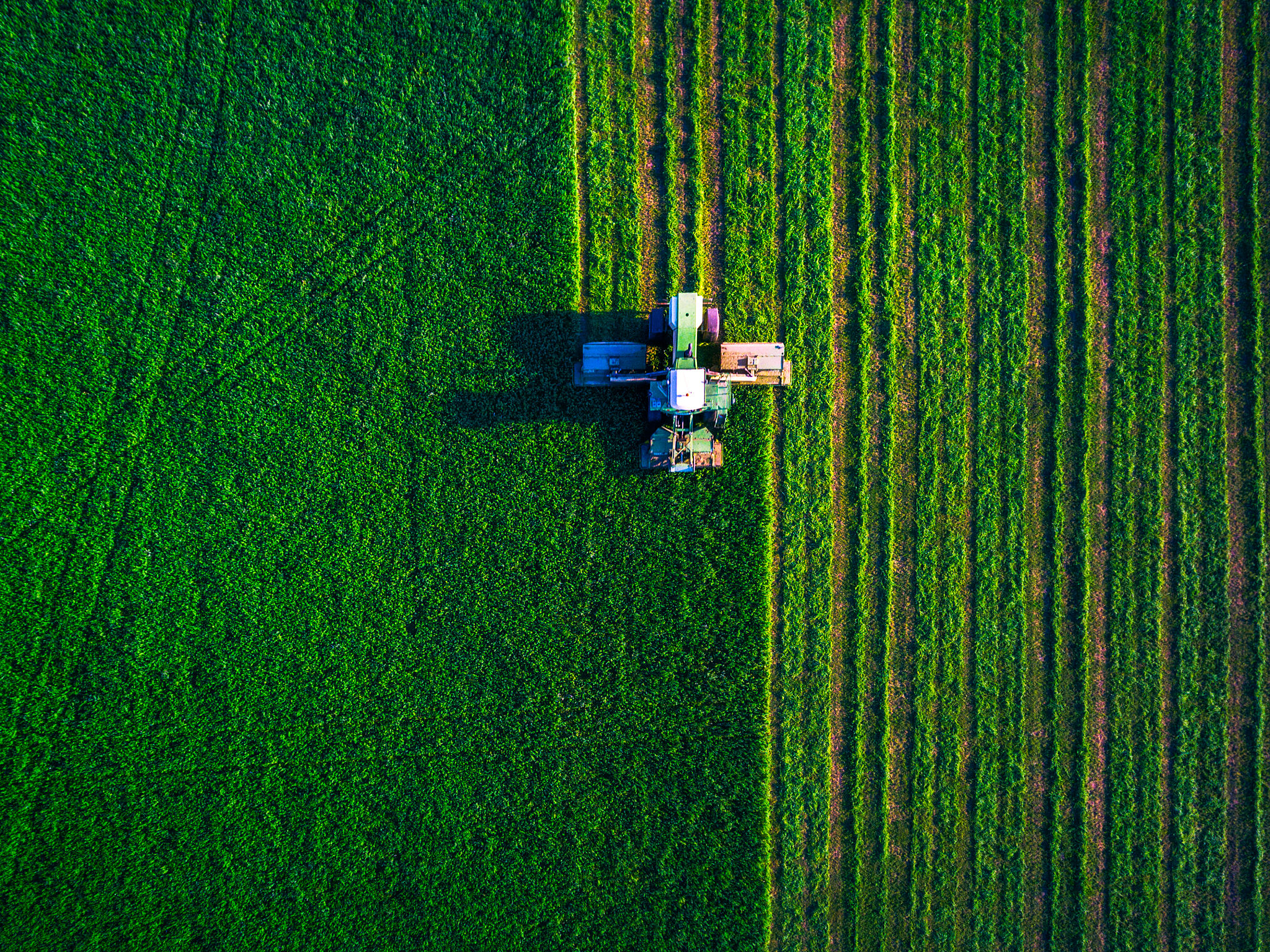 heavy machinery green