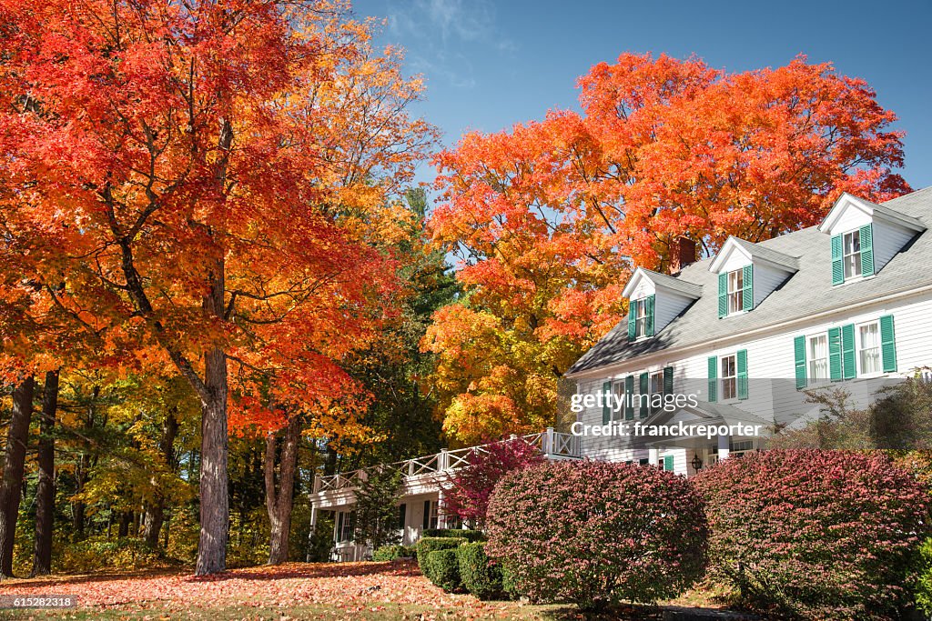 Árbol otoñal y residencia en Vermont