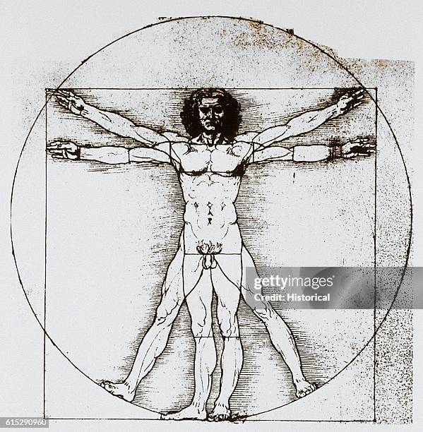 An 18th-century diagram based on Leonardo da Vinci's drawing of Vitruvian Man. The diagram was designed to show the proportions of the human figure,...