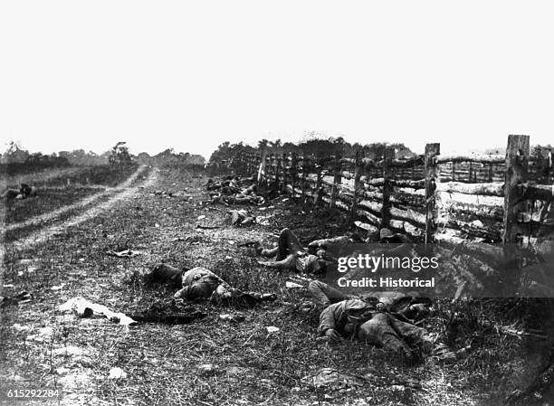 Soldiers of the Louisiana Brigade, now slain, defended the fence along Hagerstown Road during the United States Civil War Battle of Antietam in...