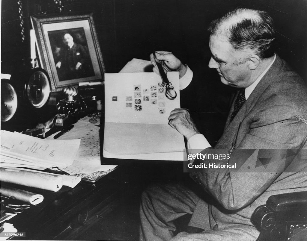Franklin Roosevelt Examining His Stamp Collection