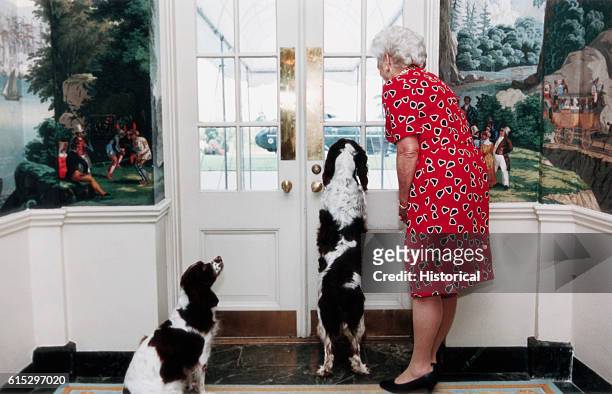 Barbara Bush and the Bushes' springer spaniels watch the arrival of the Presidential Helicopter from inside the White House. April 23, 1991.