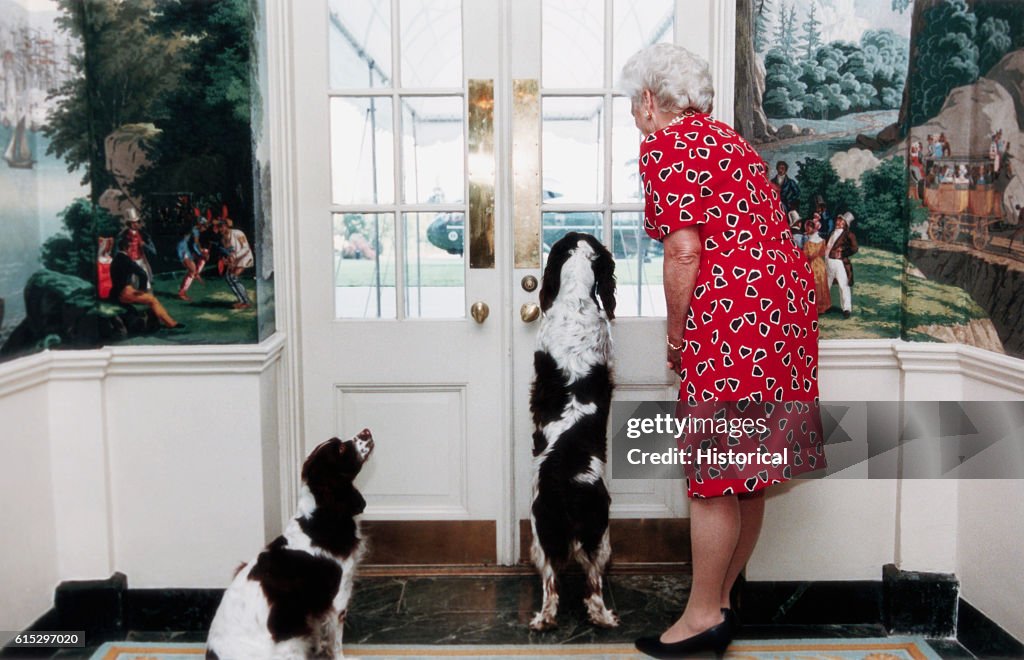 Barbara Bush and Two Cocker Spaniels