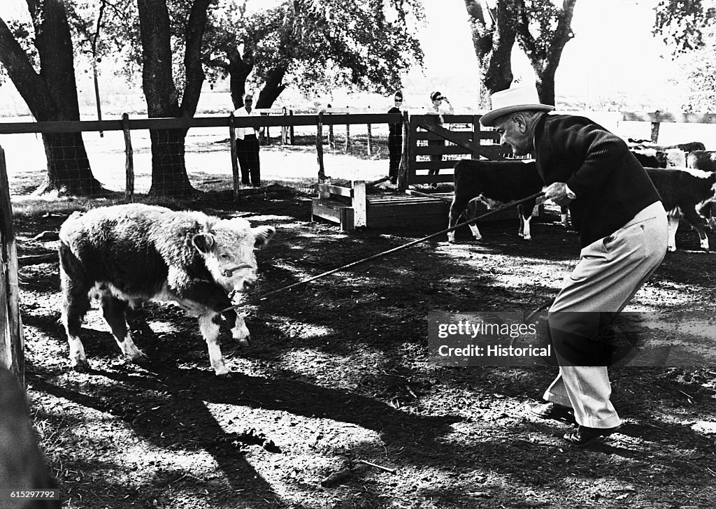 President Johnson at LBJ Ranch in Texas