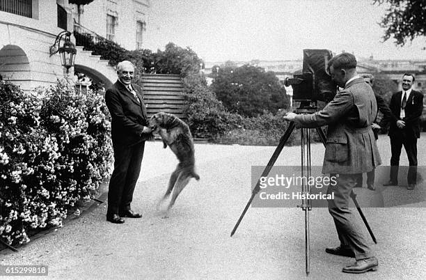 President Warren G. Harding plays with his dog as a photographer takes a picture of them. Harding was the twenty-ninth president of the United...