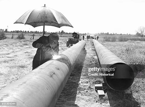 Welder in Texas busy welding 4 or 5 sections of pipe together before they are joined to the main line, called firing line welding. The pipe is part...