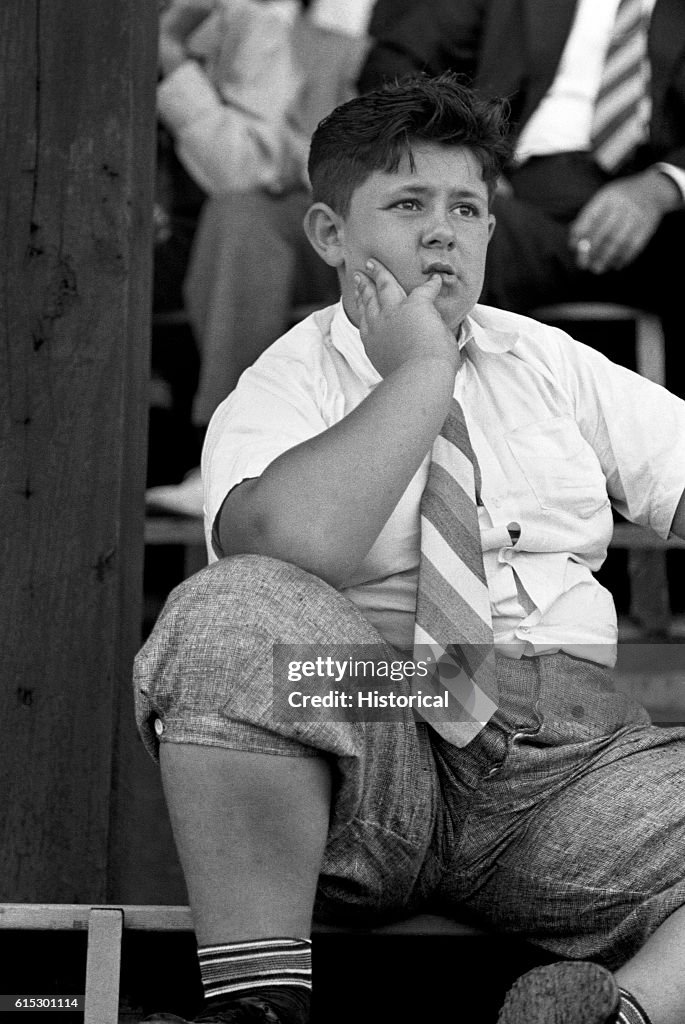 Young Spectator