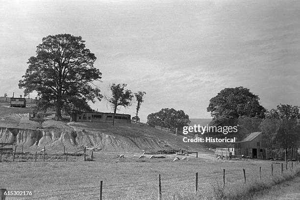 Farmland eroded during the Great Depression. Martin County, Indiana, May 1938.