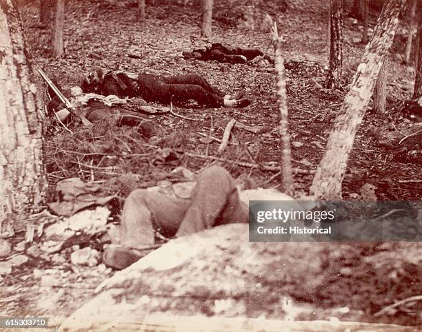 Dead Civil War soldier awaits burial at the "Slaughter Pen" at the foot of Big Round Top near Gettysburg, Pennsylvania. July 1863. | Location: near...
