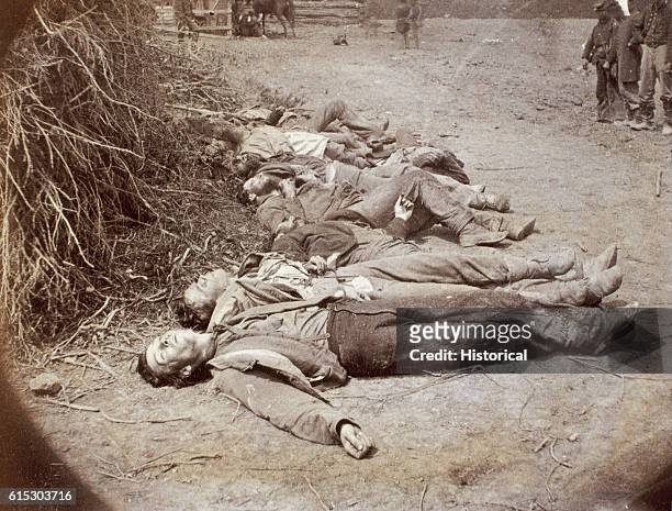 Group of dead Confederate soldiers killed during the Battle of the Wilderness. May 1864.