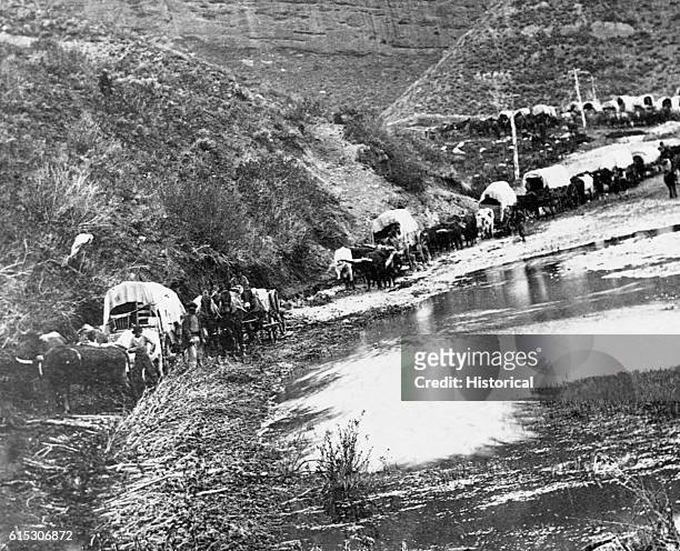 Covered wagon caravan of Mormon emigrants trying to cross a river in 1879.