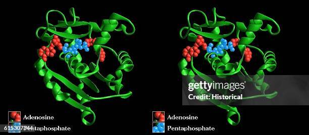 Computer 3d Model Photos and Premium High Res Pictures - Getty Images