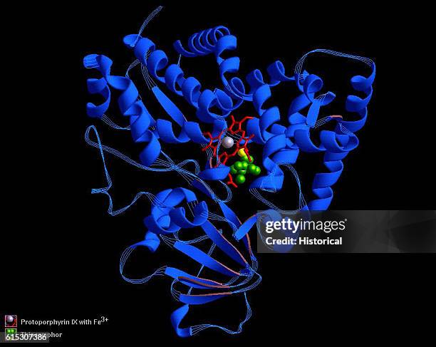 Computer Protien 3,170 Computer 3d Model Stock Photos, High-Res Pictures, and Images ...