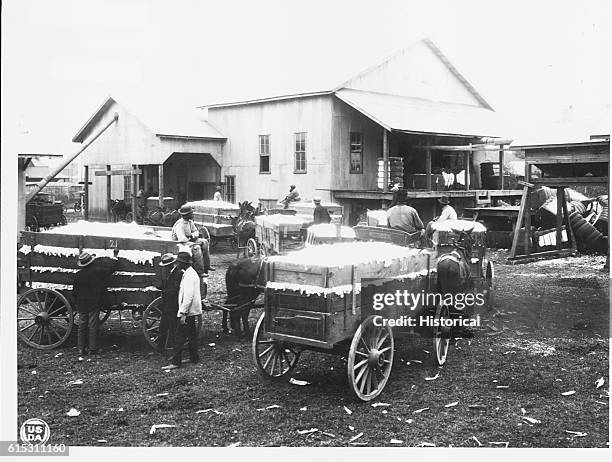 Community cotton gin owned and operated by Negroes, Madison County, Alabama. 1923.