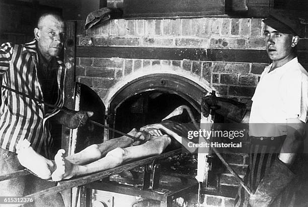 Male corpse is about to be put into a brick oven at Dachau, a concentration camp near Munich. Two men working at the oven hold metal pokers and wear...