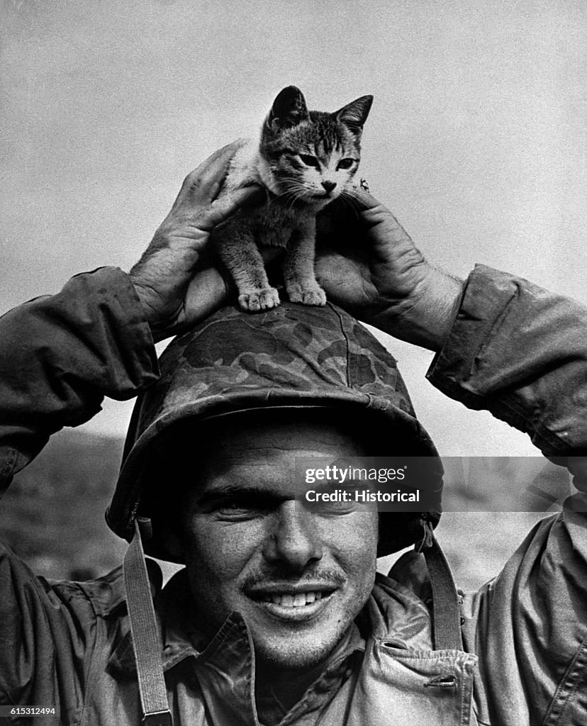 Soldier Holding Kitten