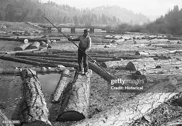 2,861 Logging On River Stock Photos, High-Res Pictures, and Images ...