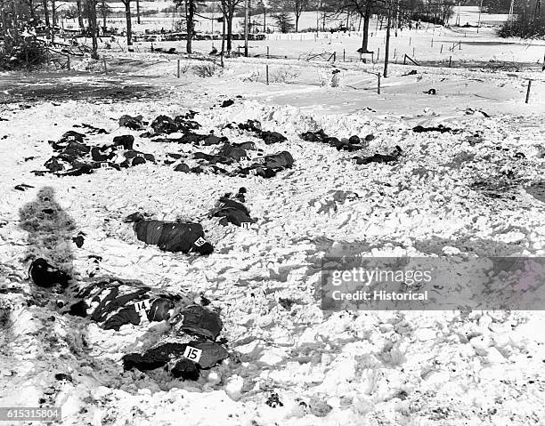 Dozens of corpses litter a snowy field, the grim remnants of the "Malmedy Massacre" of December 17 during the Battle of the Ardennes. SS troops...
