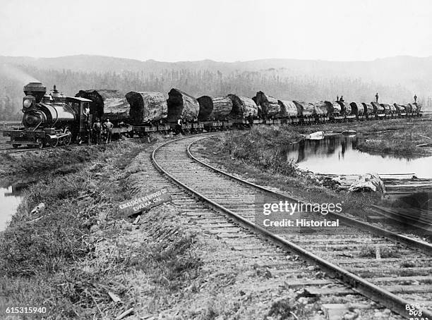 Logging Locomotive and Logs