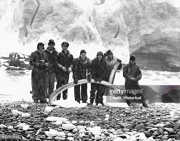 Group from one of Admiral Richard Byrd's Antarctic expeditions poses with a whale rib on one of the islands in the Melchior group. February 23, 1941.