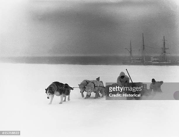 Team of sled dogs pull a sled loaded with supplies during one of Admiral Byrd's expeditions to Antarctica.