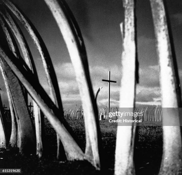 Eskimo Cemetery at Point Hope, Alaska Fenced with Whalebones