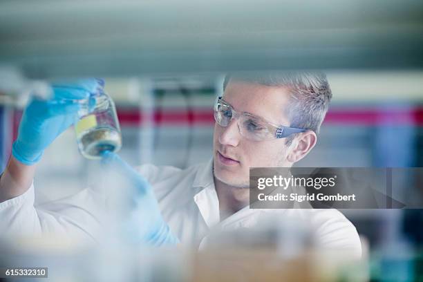 young male scientist working in a pharmacy laboratory, freiburg im breisgau, baden-württemberg, germany - young man scientist stock pictures, royalty-free photos & images