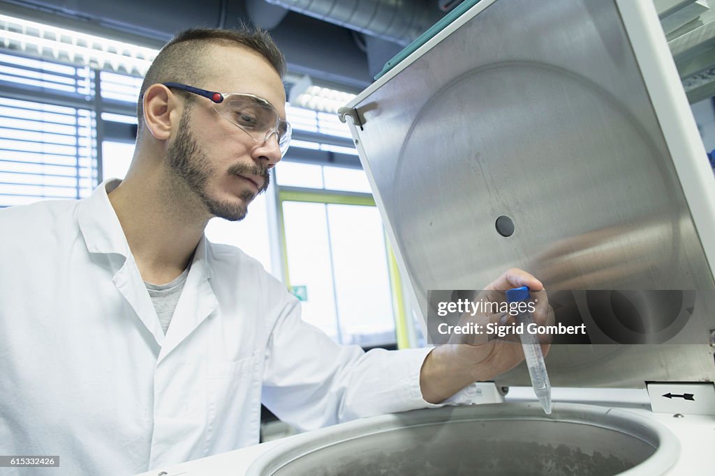 Young male scientist examining test tube in a pharmacy laboratory, Freiburg im Breisgau, Baden-Württemberg, Germany