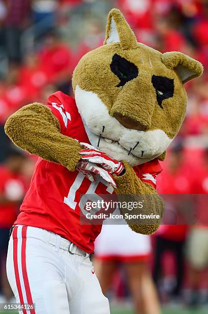 Houston Cougar mascot, Shasta during the Tulsa Golden Hurricanes at Houston Cougars game at TDECU Stadium, Houston, Texas.