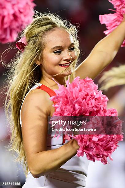 Houston Cougar cheerleaders during the Tulsa Golden Hurricanes at Houston Cougars game at TDECU Stadium, Houston, Texas.