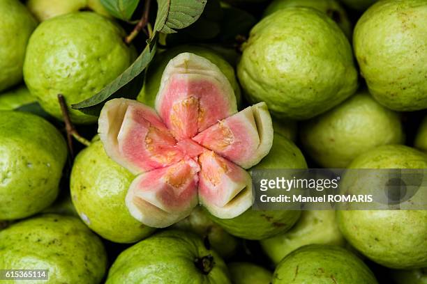 guava tropical fruit at street market - guayaba fotografías e imágenes de stock