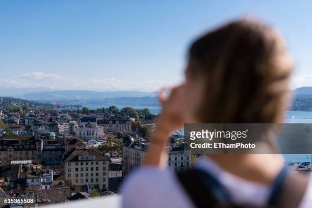 overlooking zurich - lake zurich stock pictures, royalty-free photos & images