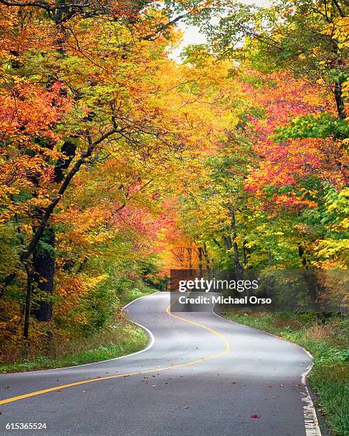 road through the woods in vermont during a very colorful autumn. - stowe vermont stock pictures, royalty-free photos & images