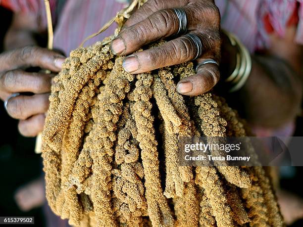 Ethnic Kayaw Photos and Premium High Res Pictures - Getty Images