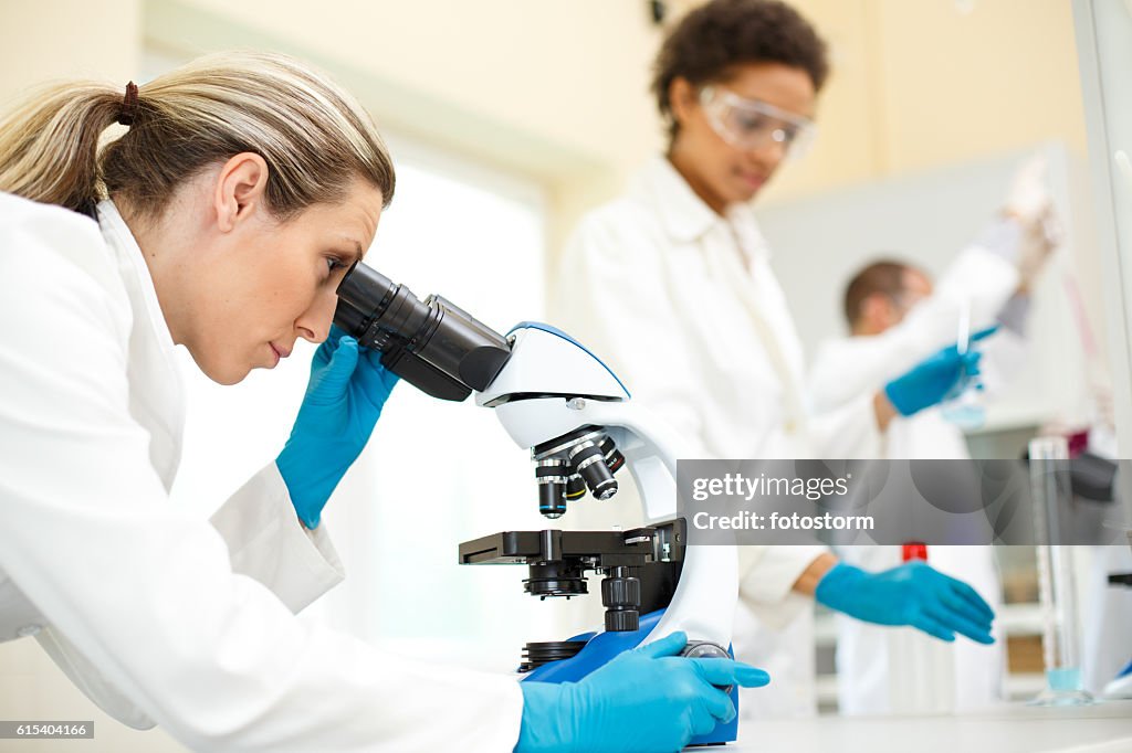 Women Working In Laboratory High-Res Stock Photo - Getty Images