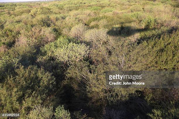 Customs and Border Protection agents fly near the U.S.-Mexico border while a helicopter patrol on October 18, 2016 near McAllen, Texas. U.S. Air and...