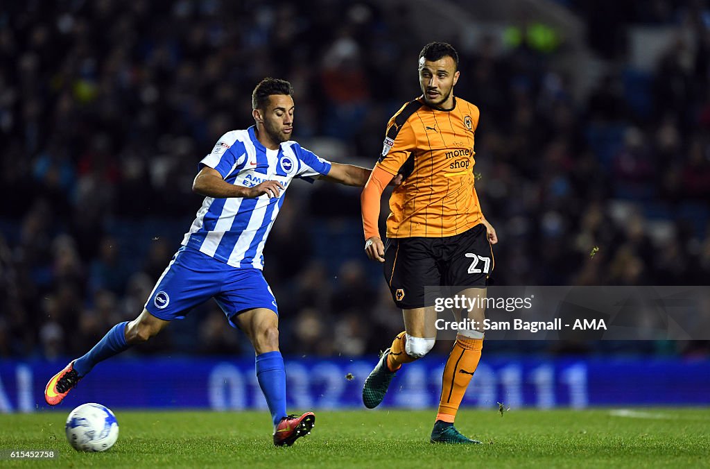 Brighton & Hove Albion v Wolverhampton Wanderers - Sky Bet Championship